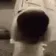 SNIFFA