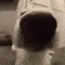 SNIFFA