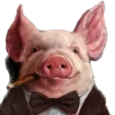 pig