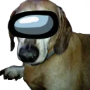 doggosus doggosus
