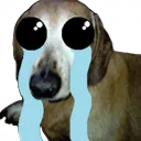 doggosad doggosad
