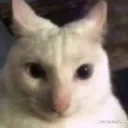 WhenSeePenis