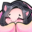 ZP2UNnorcatgirlcozy Discord emoji