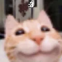 happycat