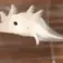 PotatoAxolotlDerp