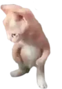khe khe
