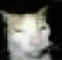 catohd Discord Emoji