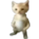 Panamiguel Discord Emoji