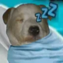 zzzzz