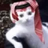 995983719628283914