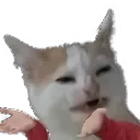 whatisdis