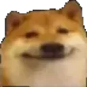JK_DogSMILE