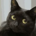 6299f81ccff94c36853dd35e4cccd8be