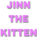 JinKitten Discord Emoji