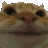 Catno catno Discord Emoji