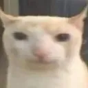khongbietnoigi
