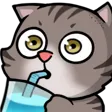 cohhSip
