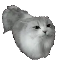 1417thiscatjustj