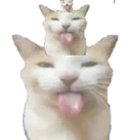5241blehhhhhcattower