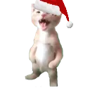 7850catscream