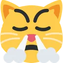 TriumphCat