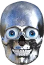 skul