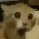 emoji_50 emoji_50