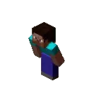 steve