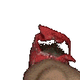 ricardoflick