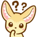 fennec_confusion