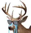 coolbutcryingdeer
