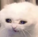 cri