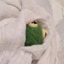depressedkermit2