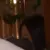 ayelpeekwave