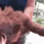 j_
