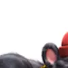 ns