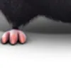 ne