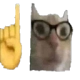 cat_nerd Discord emoji