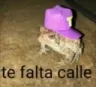Rs_Tefaltecalle Rs_Tefaltecalle