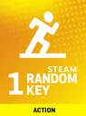 ActionSteamKey
