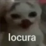 Rs_GatoLocura Rs_GatoLocura