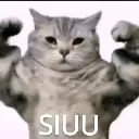 SIUU
