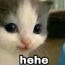 Cat Hehe cat_hehe Discord Emoji