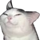 JK_CatSmirk