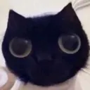 stare
