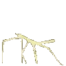 sticcbuglol