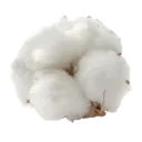 pickyourcotton