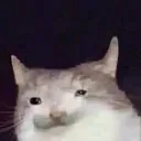 mt_lc_1