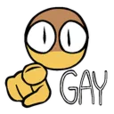 gay