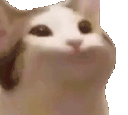 pog